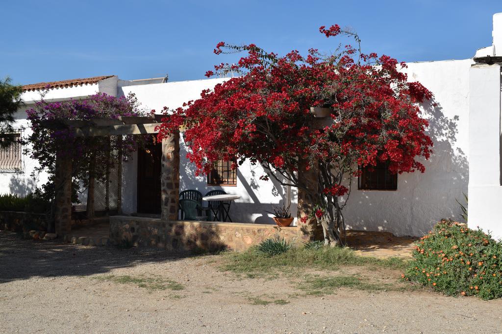 Cortijo La Molina De Cabo De Gata Guest House Bagian luar foto